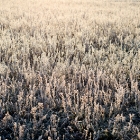 Saaremaa 22. detsember 2011