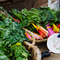 rainbow chard