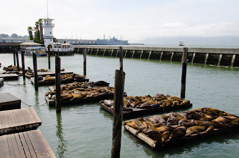 Pier 39