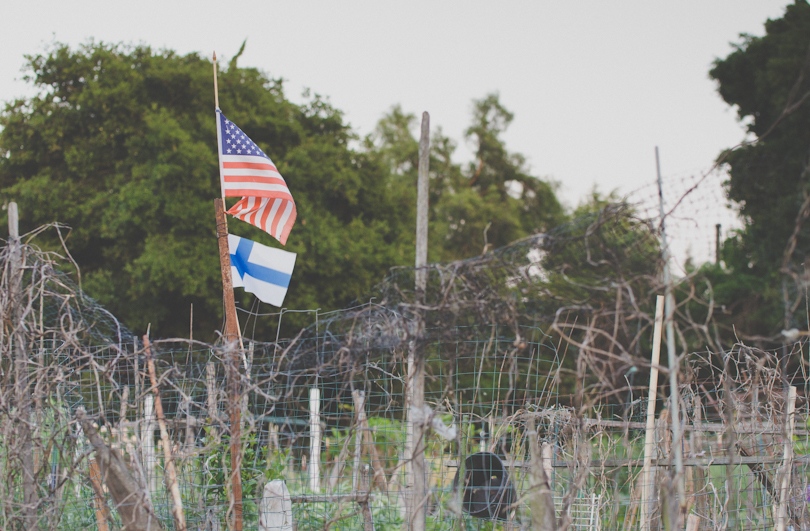 Main Community Garden in Palo Alto