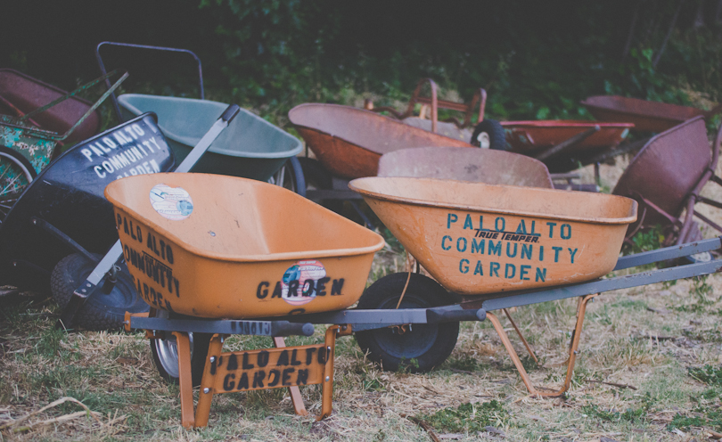 Main Community Garden in Palo Alto