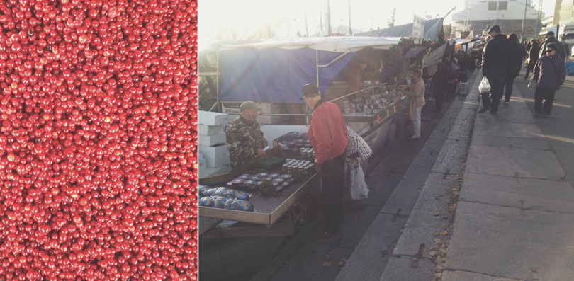 Fish market in Helsinki / Baltic Herring Fair