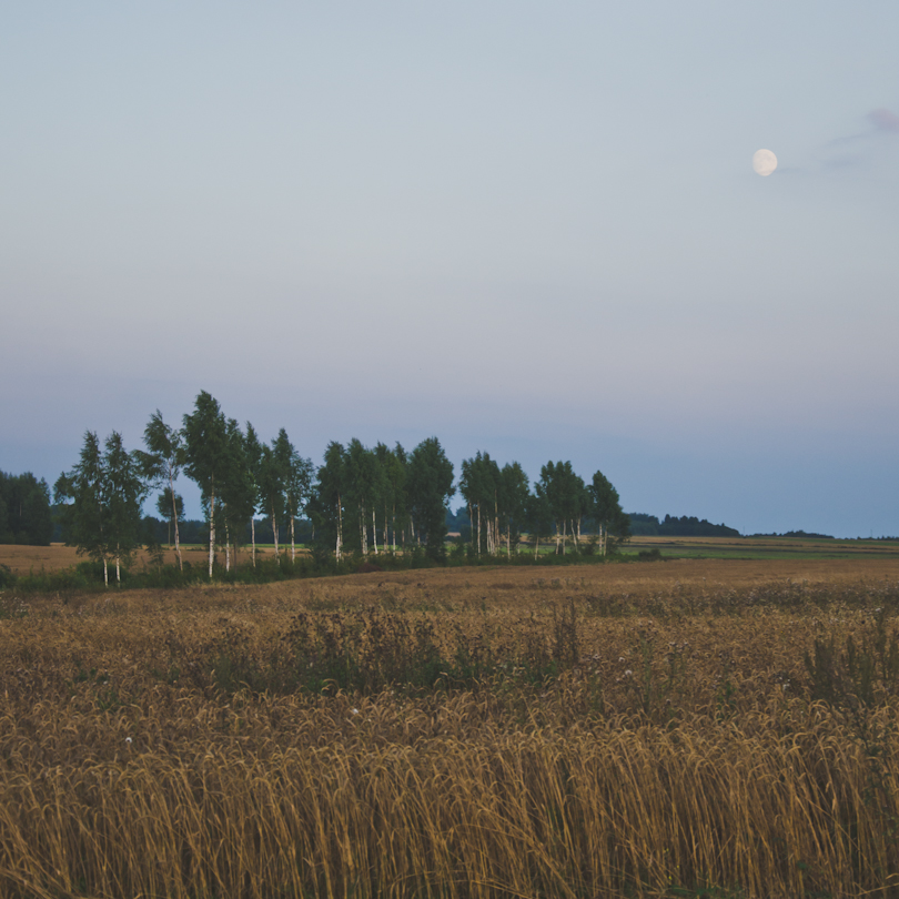 Estonia