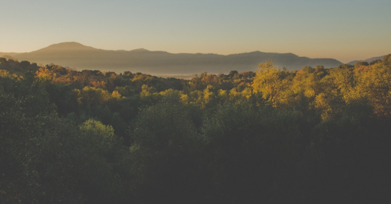 Sunrise in California