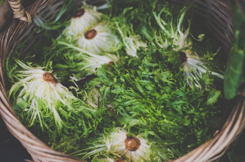 Frisée salad