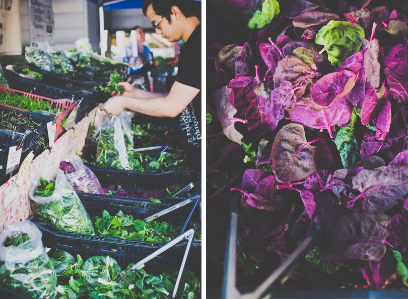 Wild mountain spinach