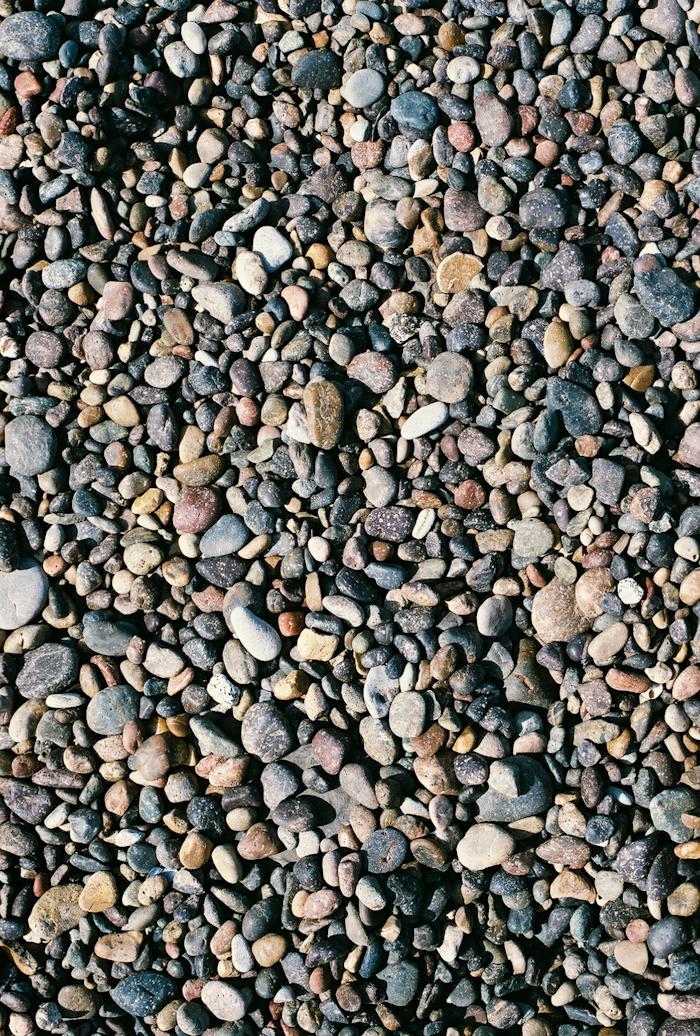 nature-textures-patterns-point-lobos