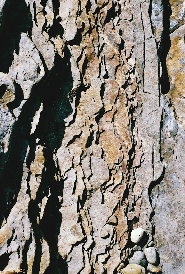 nature-textures-patterns-point-lobos