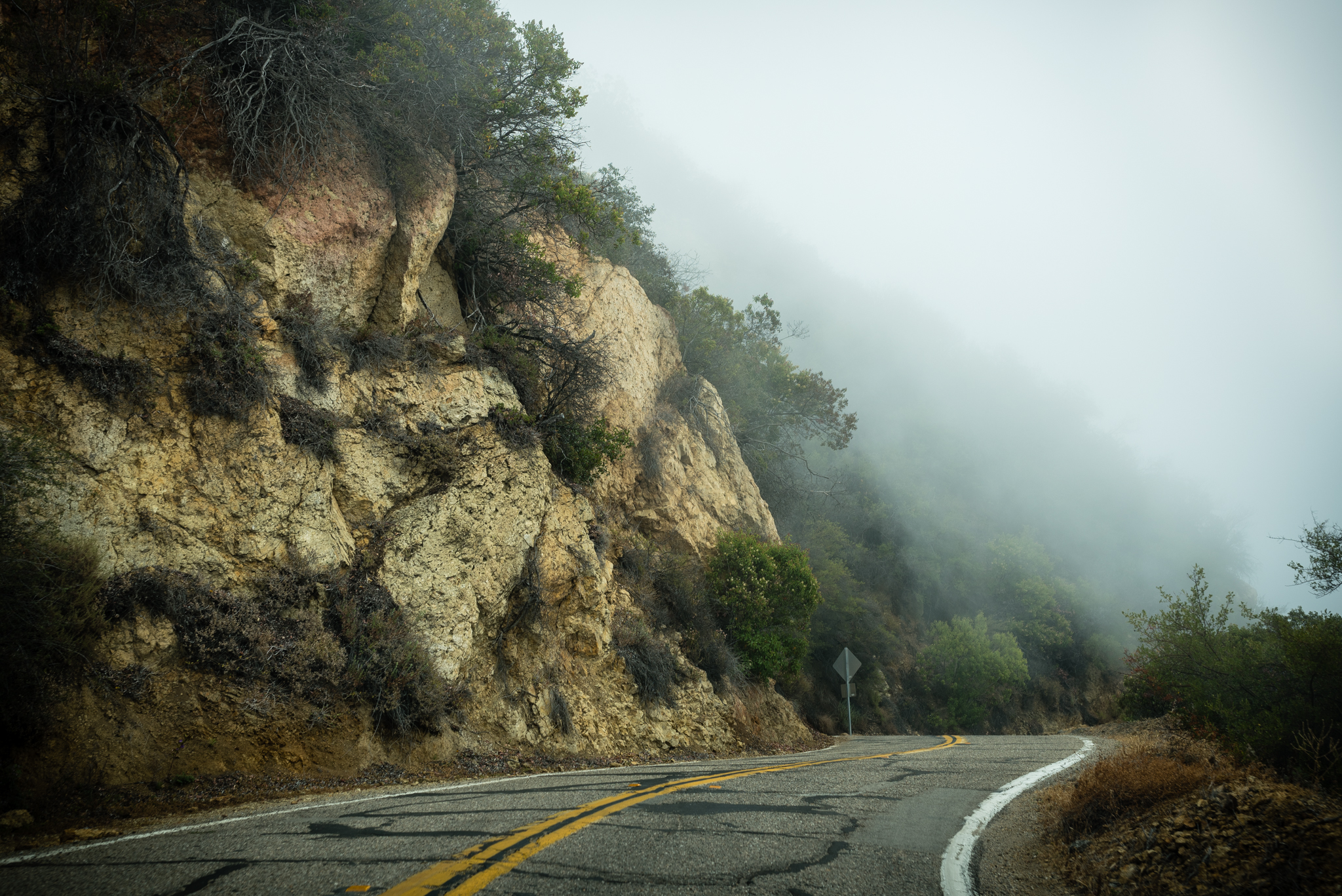 santa monica mointains fog