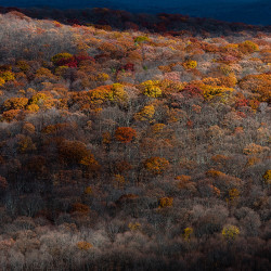 autumn in new york, fall foliage, fall colors, trees, hills, valleys